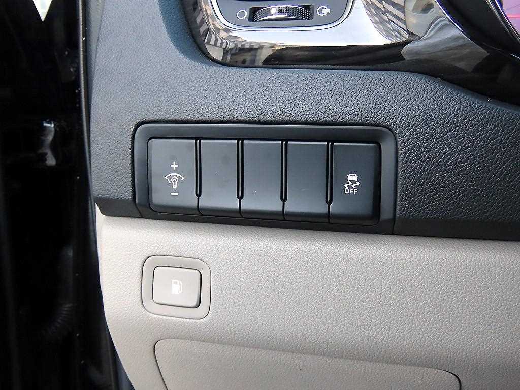 KIA Carnival - Vista 11