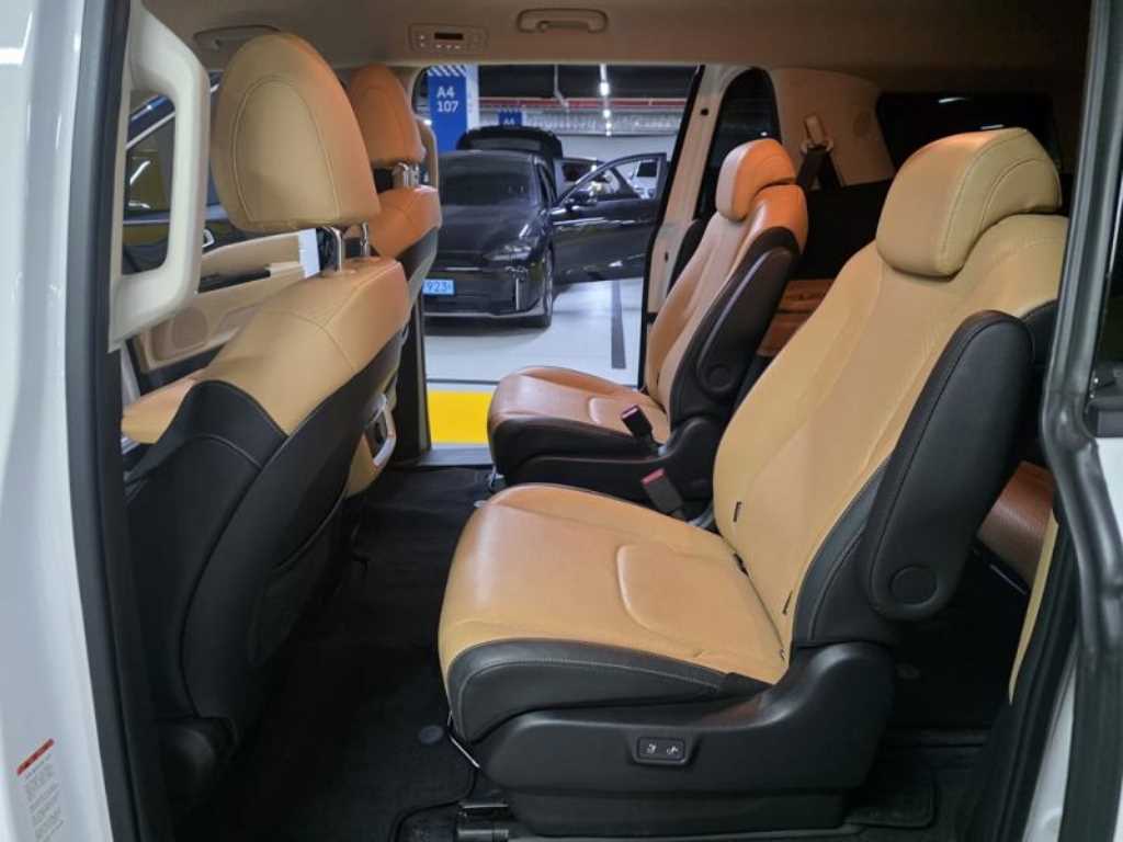 KIA Carnival - Vista 8