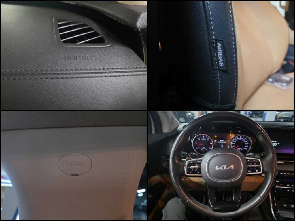 KIA Carnival - Vista 10