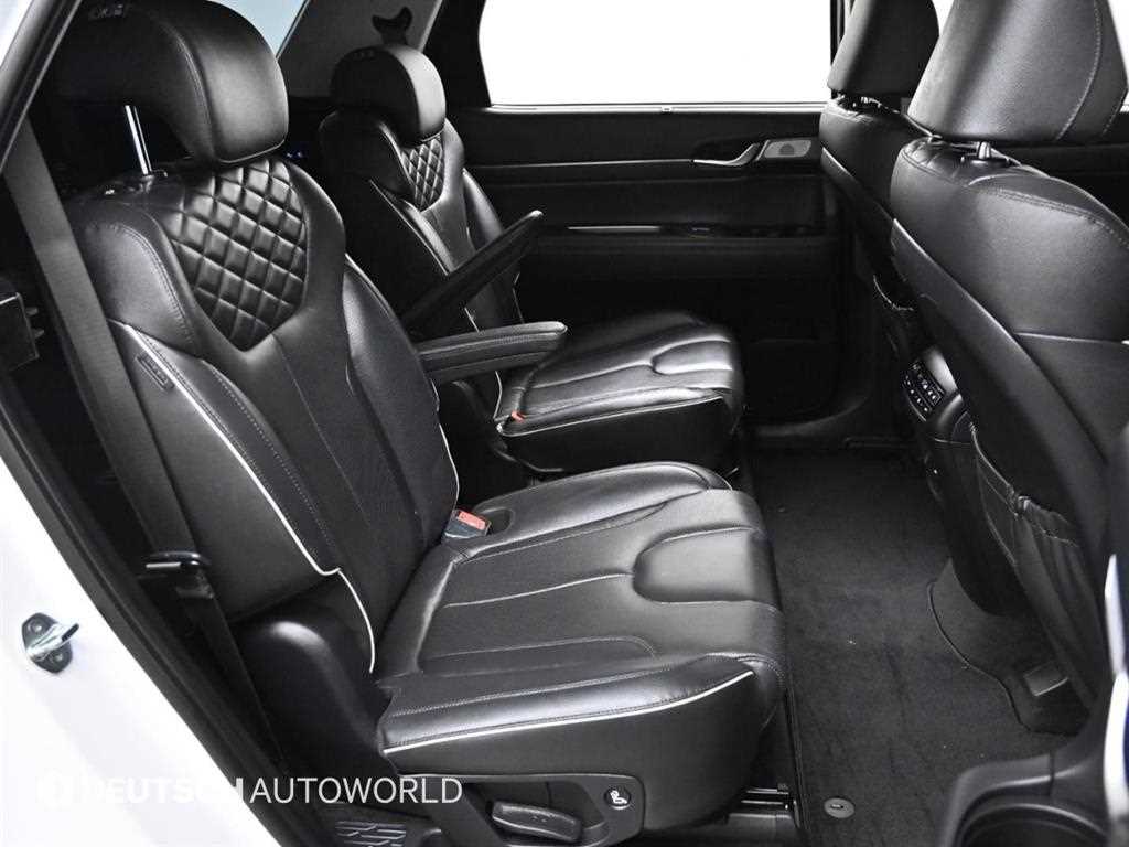 HYUNDAI Palisade - Vista 12