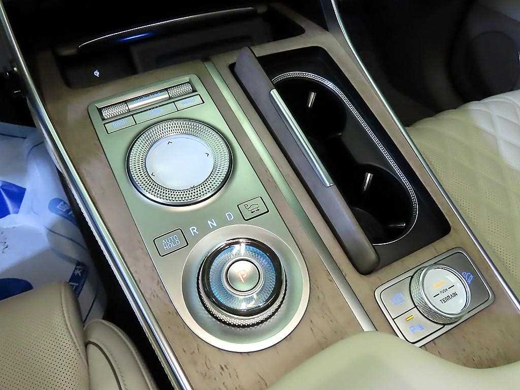 Genesis GV80 - Vista 12