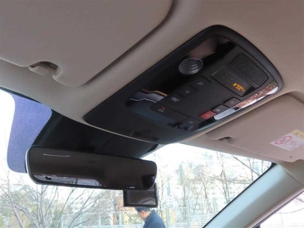 KIA Carnival - Vista 10