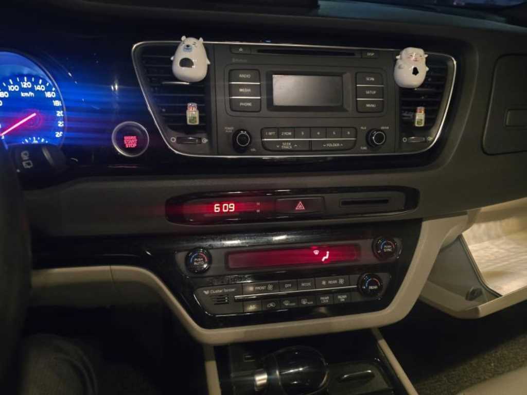 KIA Carnival - Vista 4