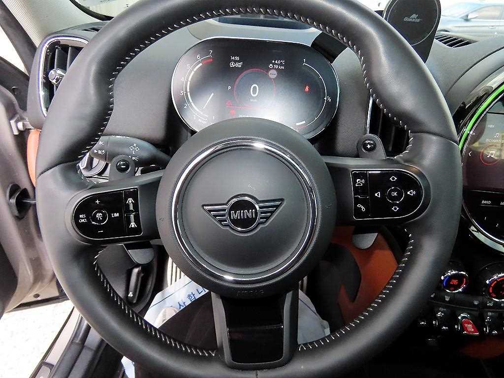 Mini Countryman - Vista 8