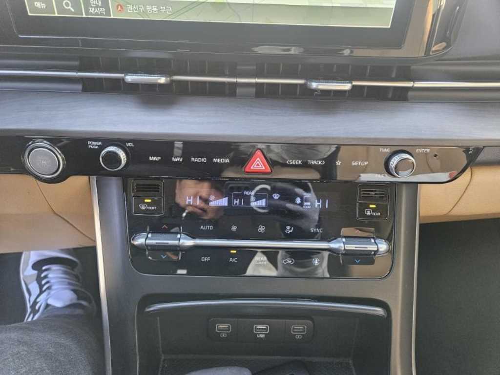 KIA Carnival - Vista 11