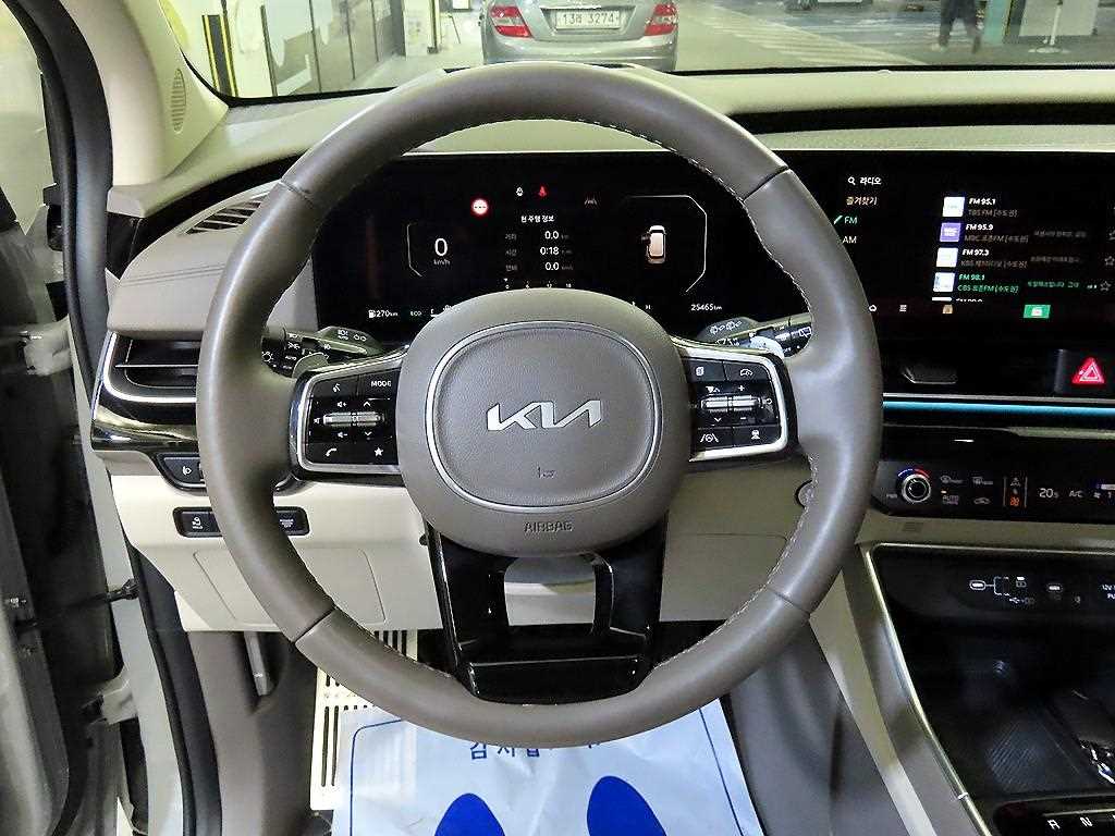 KIA Carnival - Vista 8