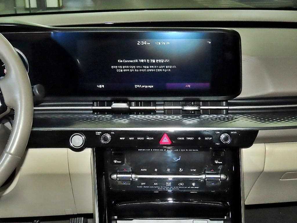 KIA Carnival - Vista 11