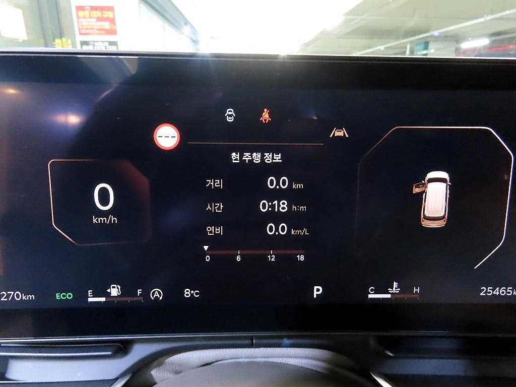 KIA Carnival - Vista 9