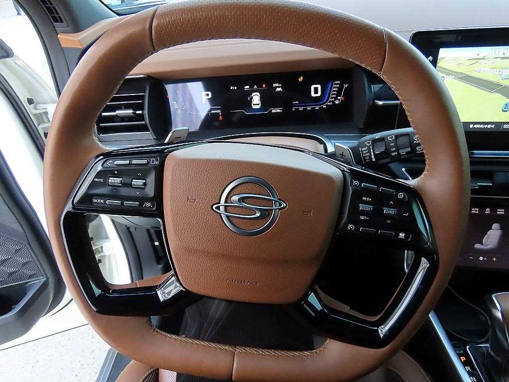 Ssangyong Torres - Vista 8