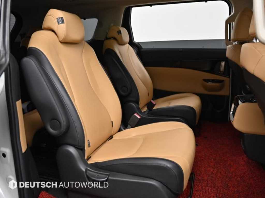 KIA Carnival - Vista 12