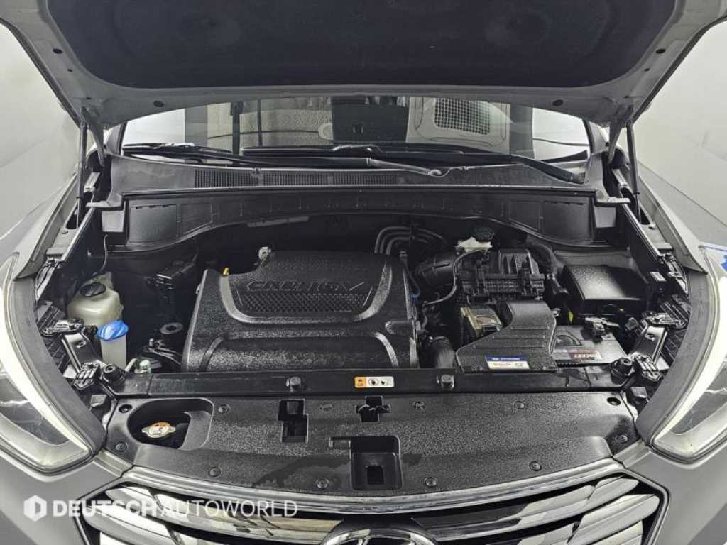 HYUNDAI Maxcruz - Vista 6