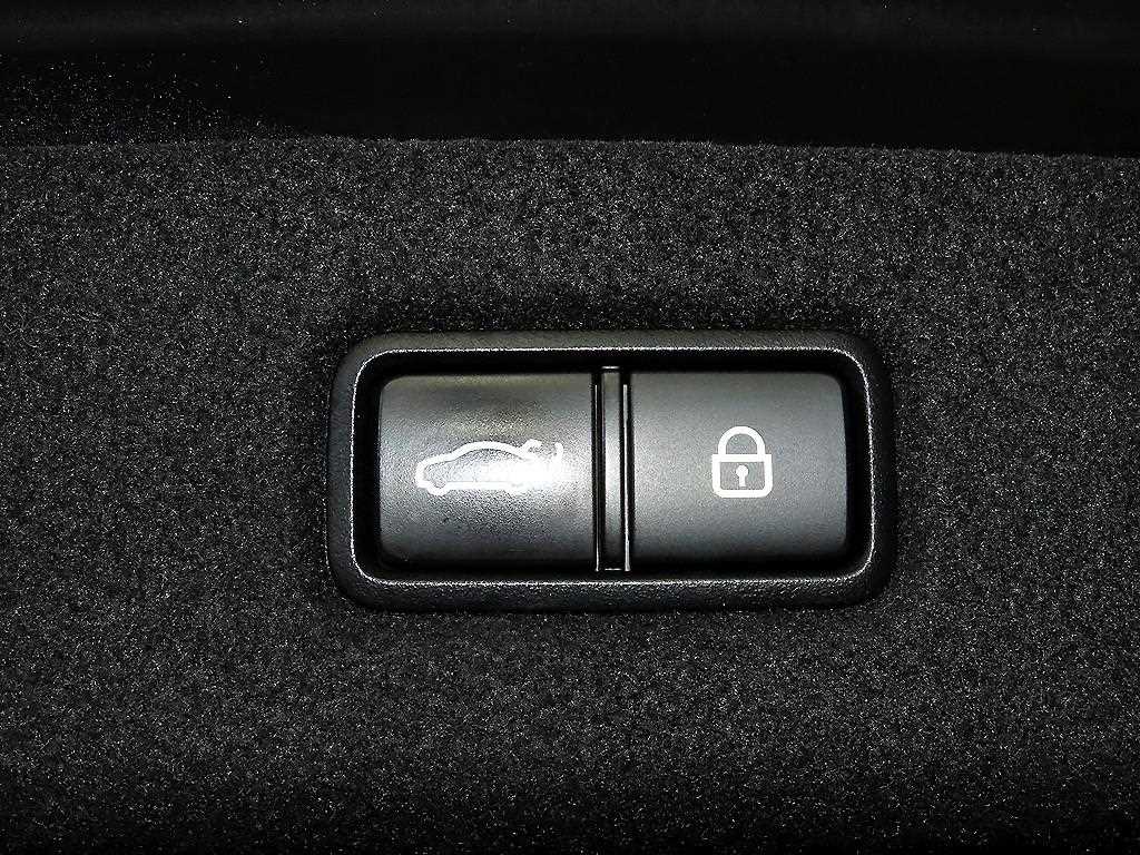 Genesis EQ900 2016 Negro - Importación desde Corea - HF Imports Iquique - Foto 16