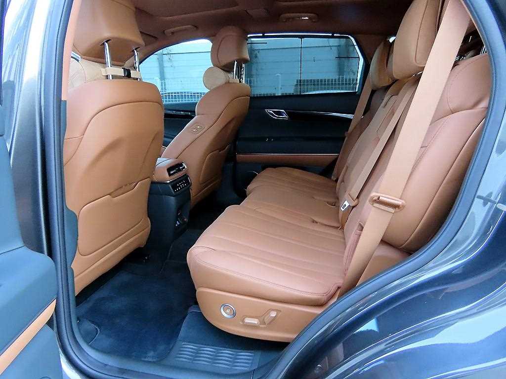 Genesis GV80 - Vista 6