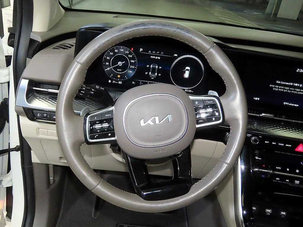 KIA Carnival - Vista 8