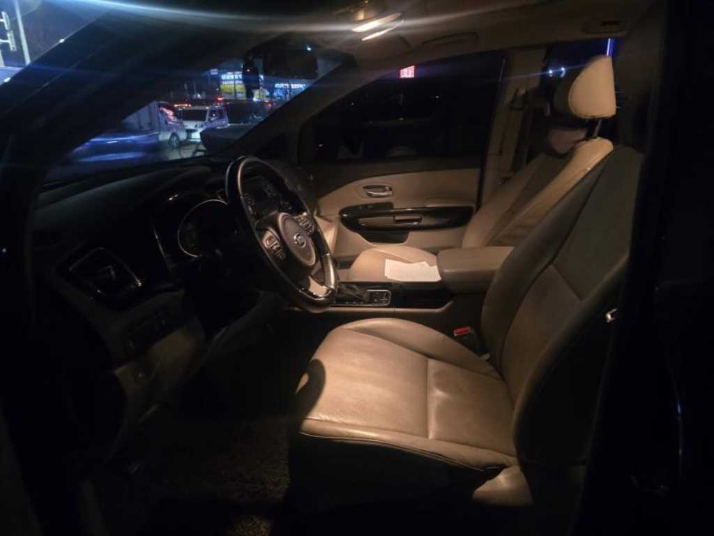 KIA Carnival - Vista 10