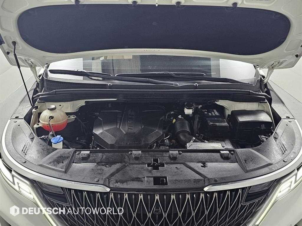 KIA Carnival - Vista 6