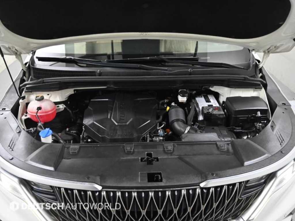 KIA Carnival - Vista 6