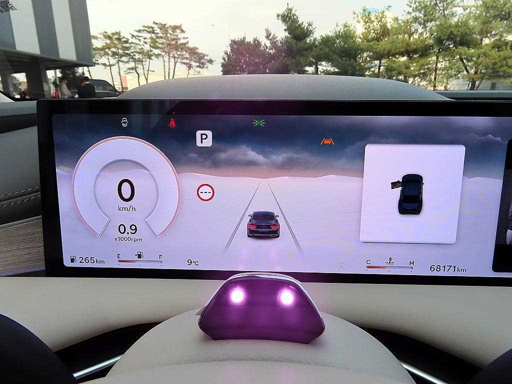 Genesis G80 - Vista 9