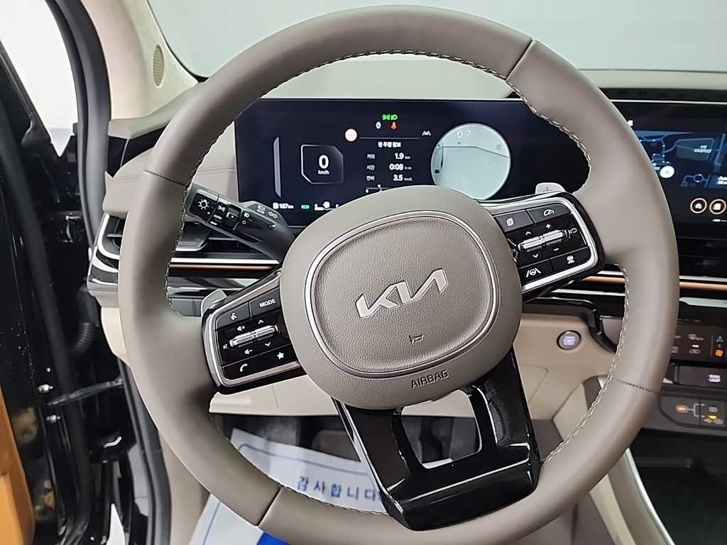 KIA Carnival - Vista 9