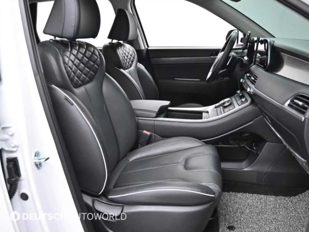 HYUNDAI Palisade - Vista 10