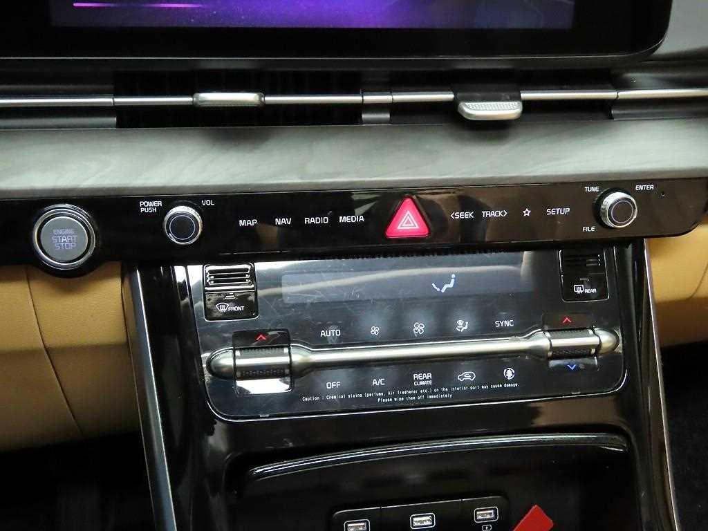 KIA Carnival - Vista 9