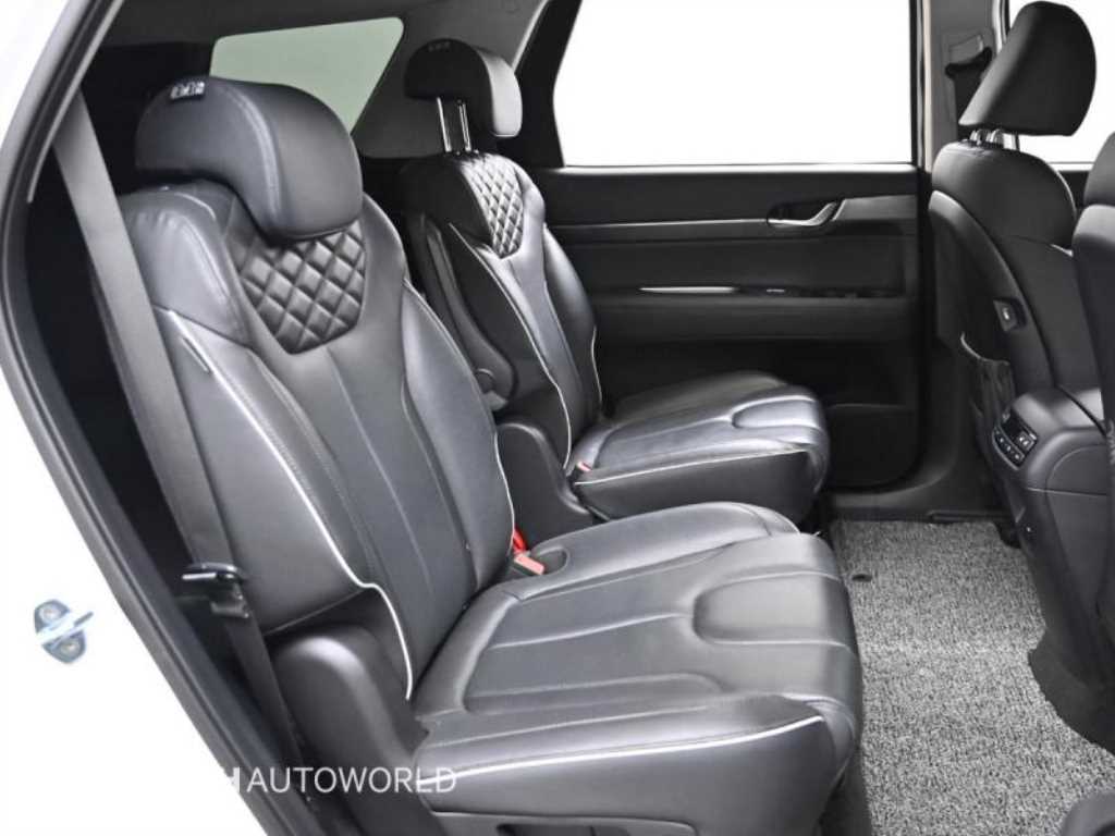 HYUNDAI Palisade - Vista 12