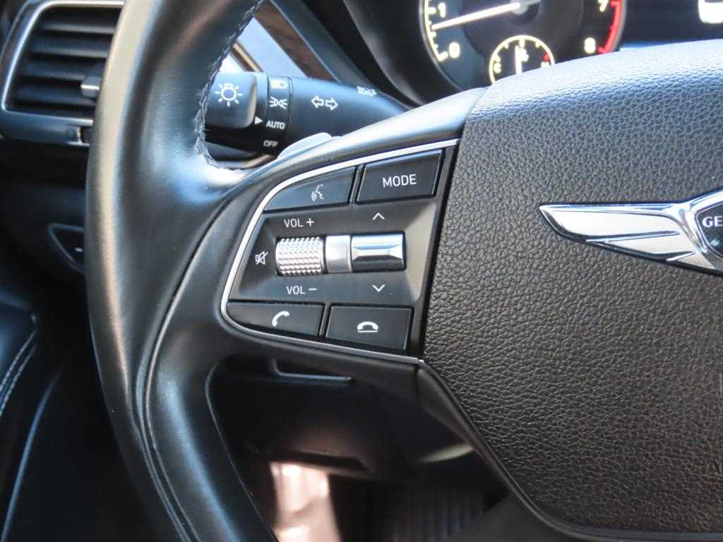 Genesis G90 - Vista 12