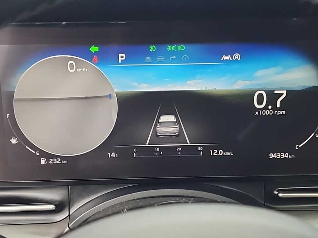 KIA Carnival - Vista 6