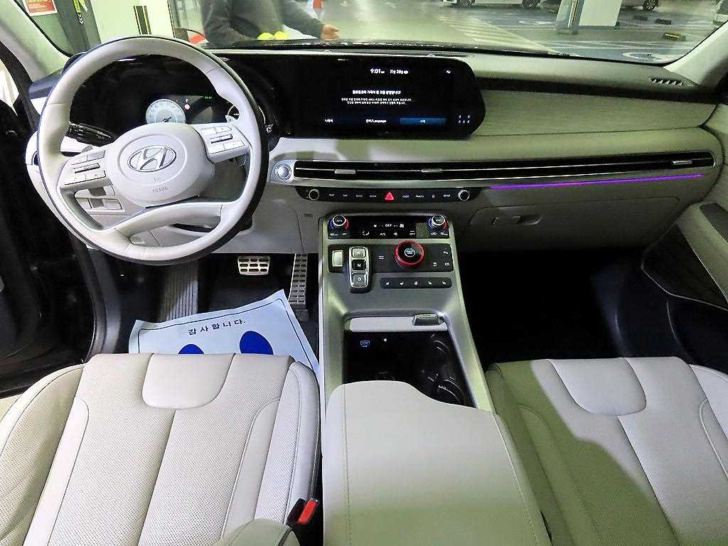 HYUNDAI Palisade - Vista 10