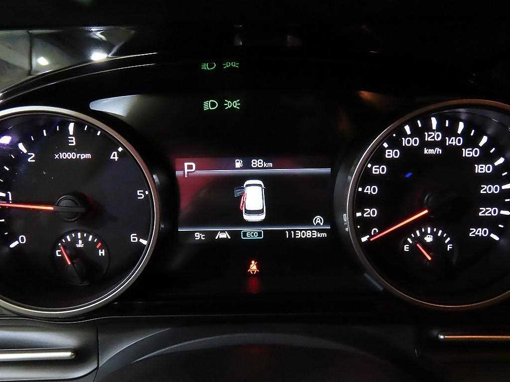 KIA Carnival - Vista 9