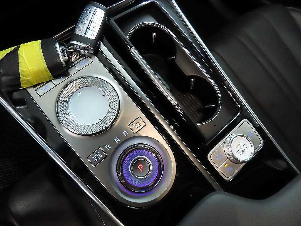 Genesis GV80 - Vista 10