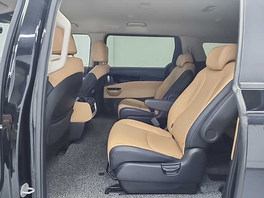 KIA Carnival - Vista 12