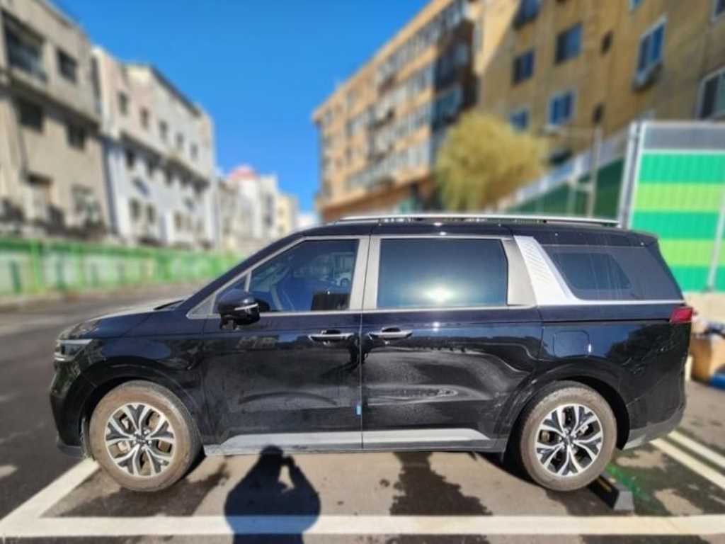 KIA Carnival - Vista 3