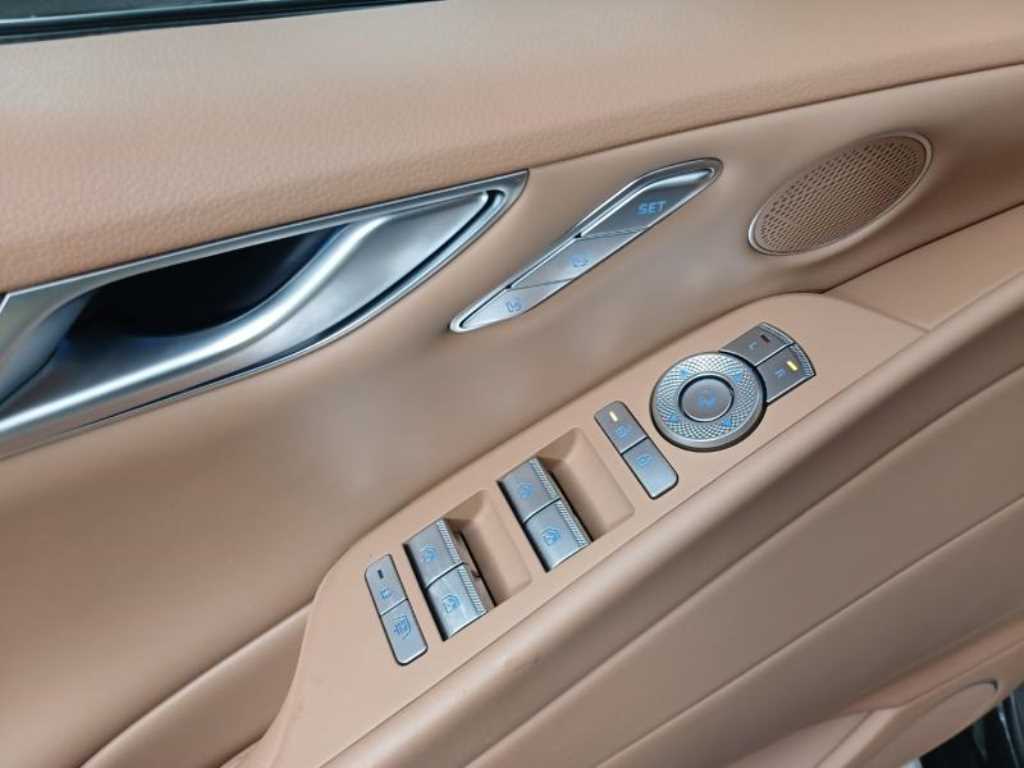 Genesis G80 - Vista 10