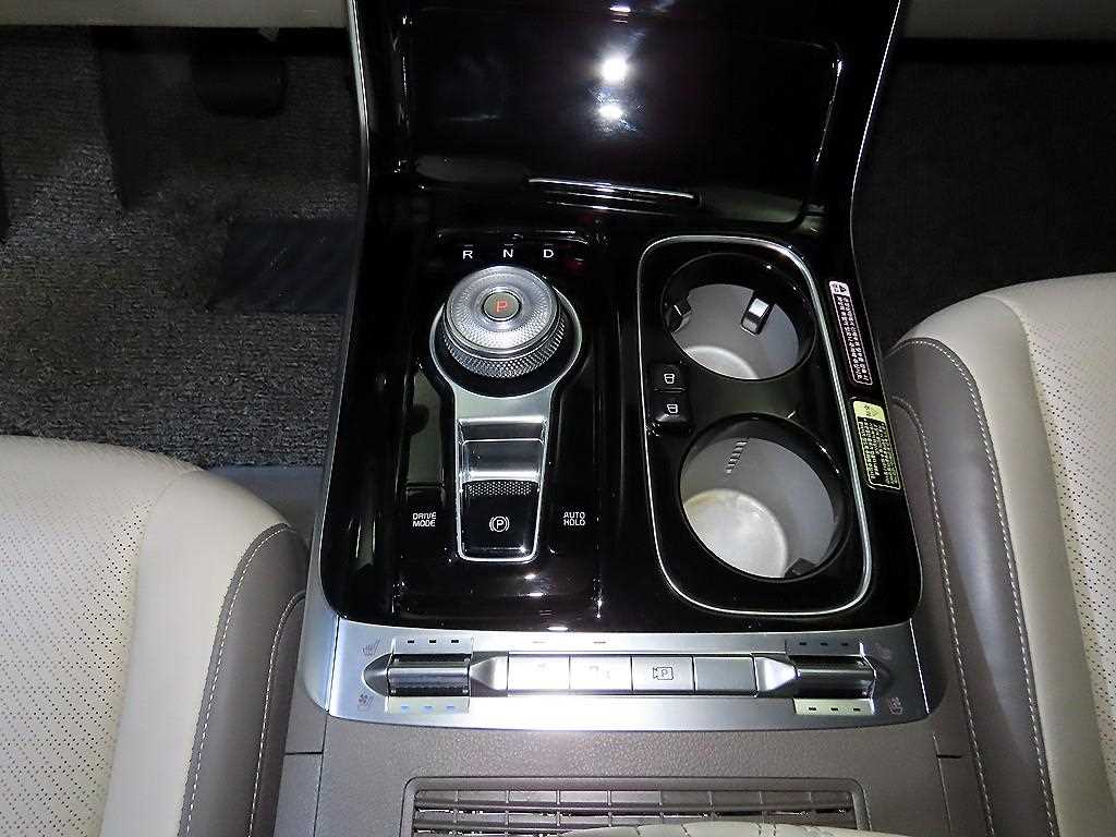 KIA Carnival - Vista 12