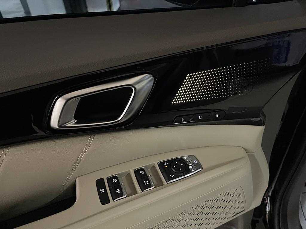 KIA Carnival - Vista 12