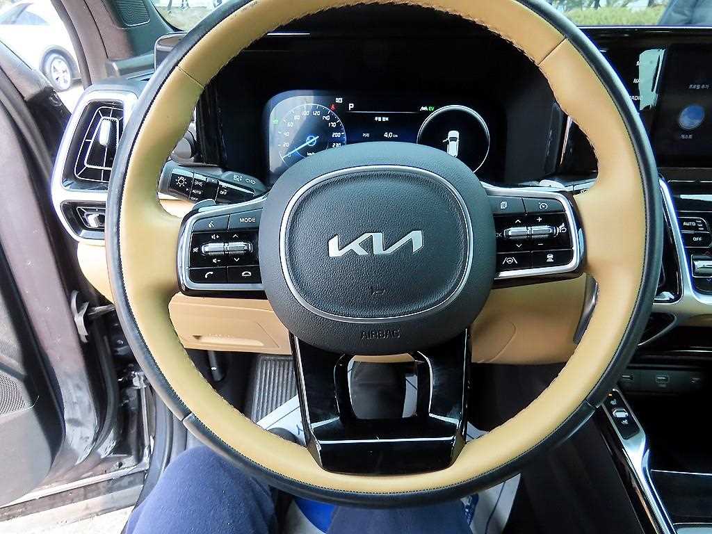 KIA Sorento - Vista 8