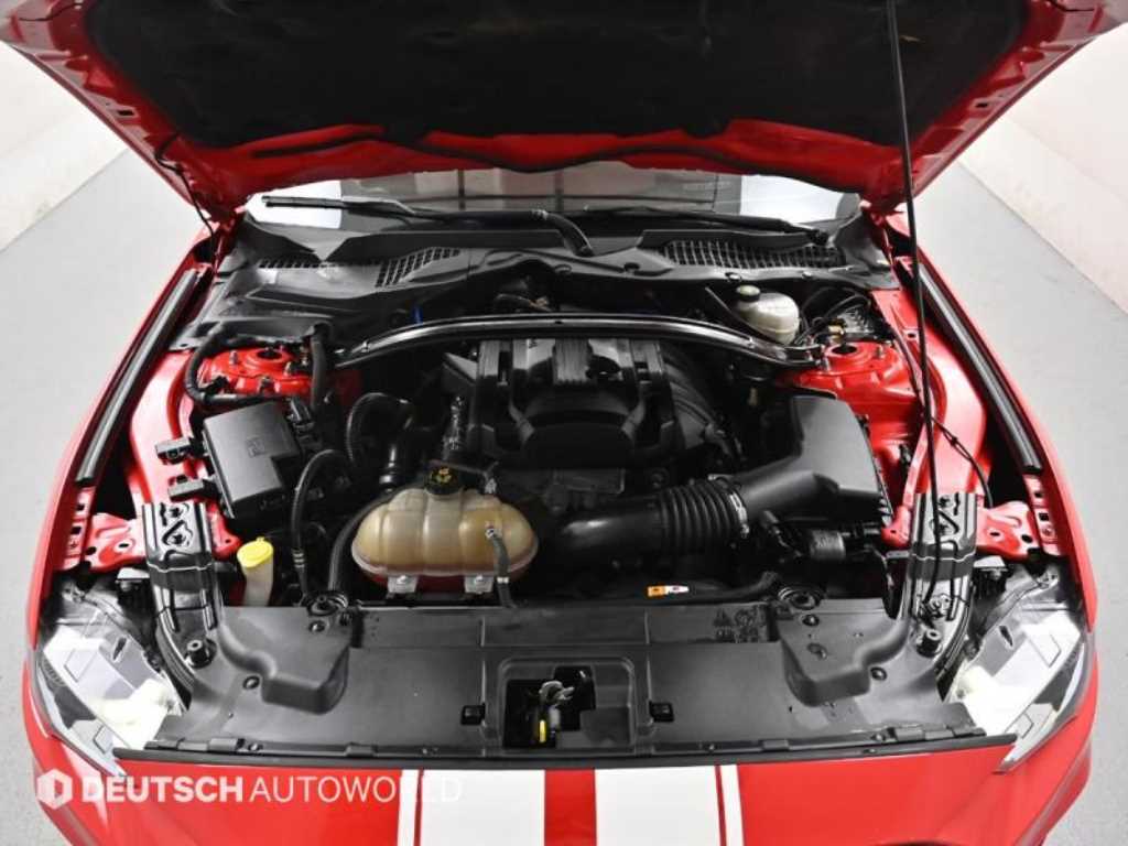 Ford Mustang - Vista 7