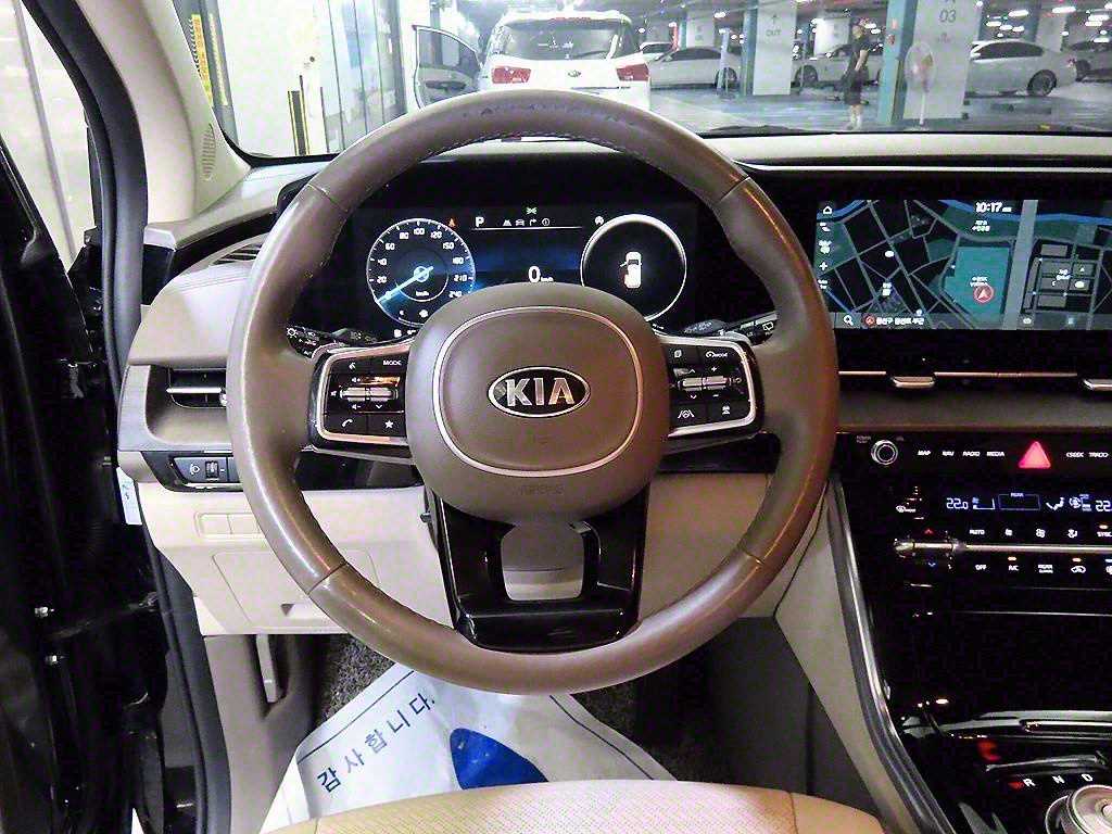 KIA Carnival - Vista 8