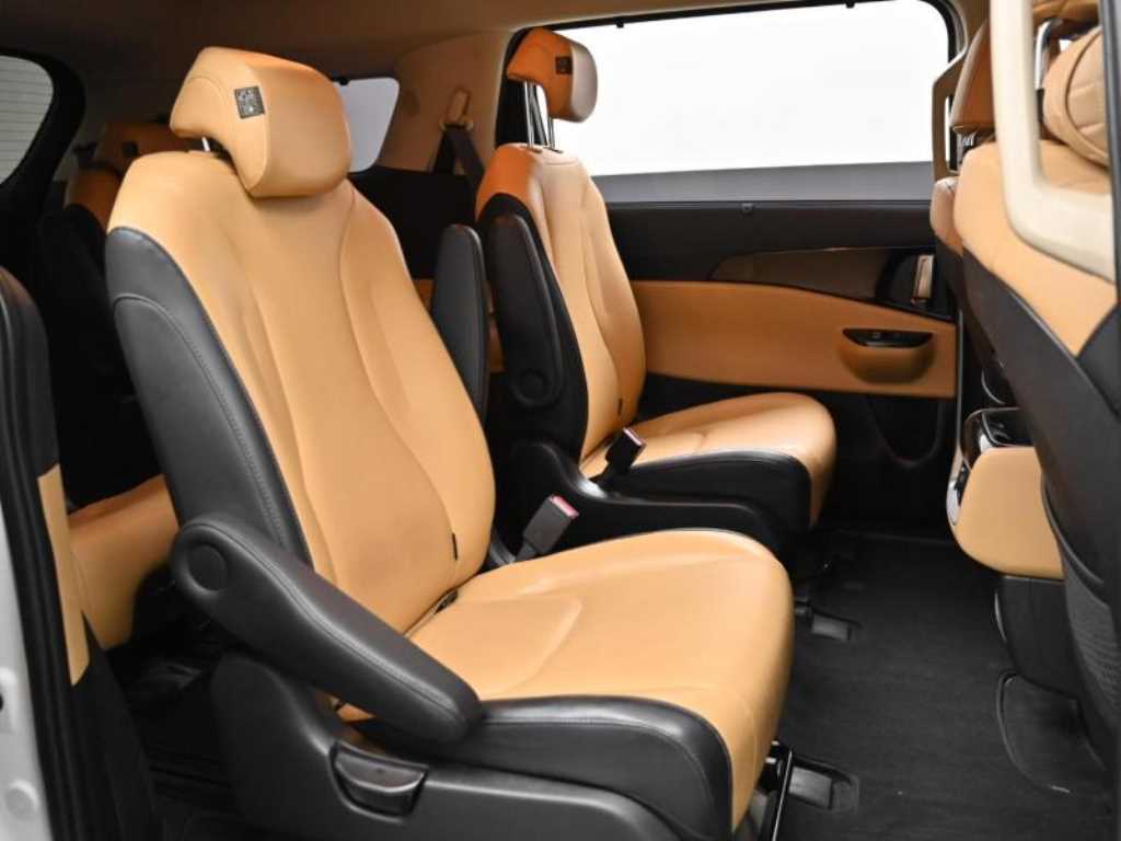 KIA Carnival - Vista 12