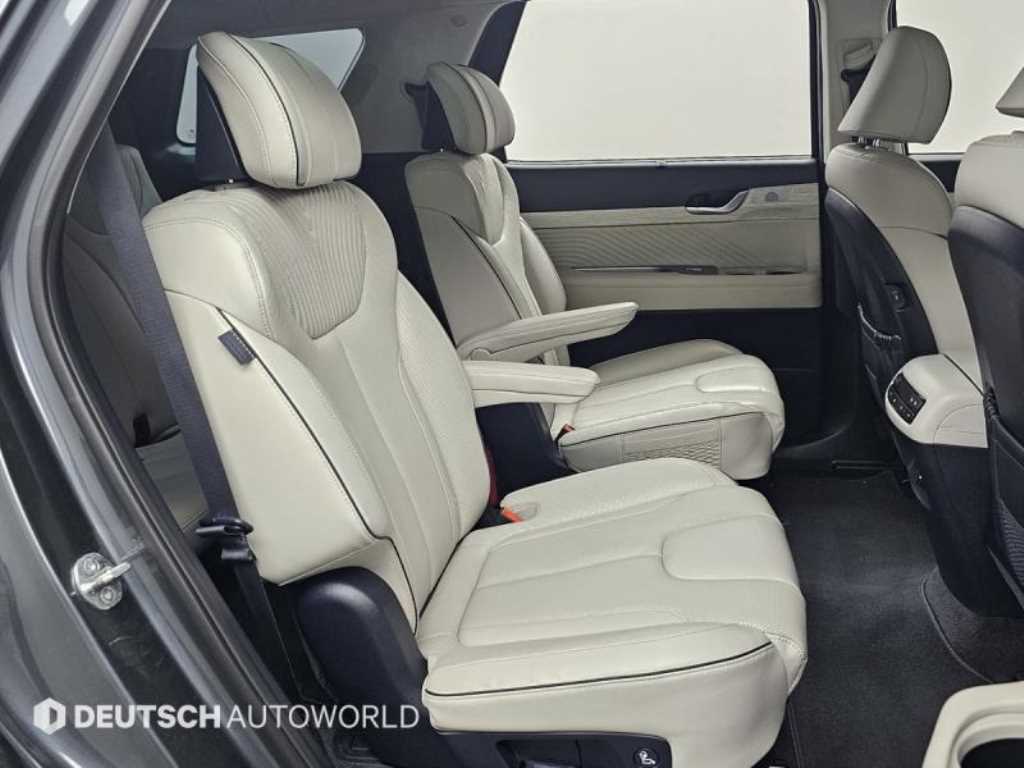HYUNDAI Palisade - Vista 12