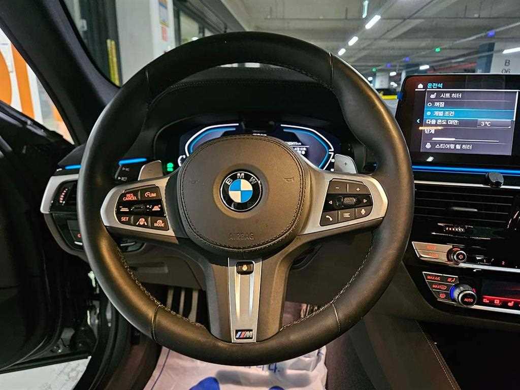 BMW 5 Series - Vista 9