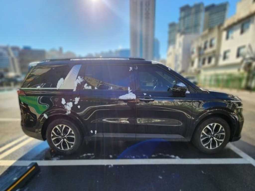 KIA Carnival - Vista 4