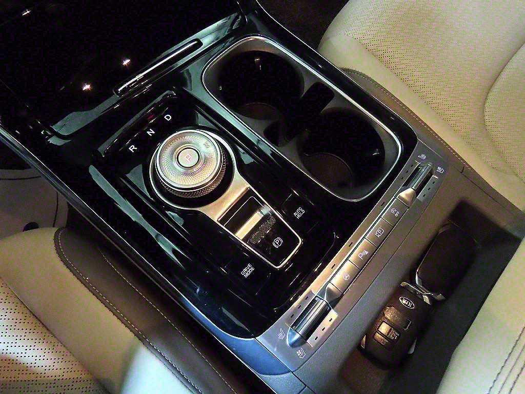 KIA Carnival - Vista 12