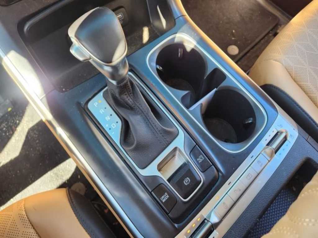 KIA Carnival - Vista 8