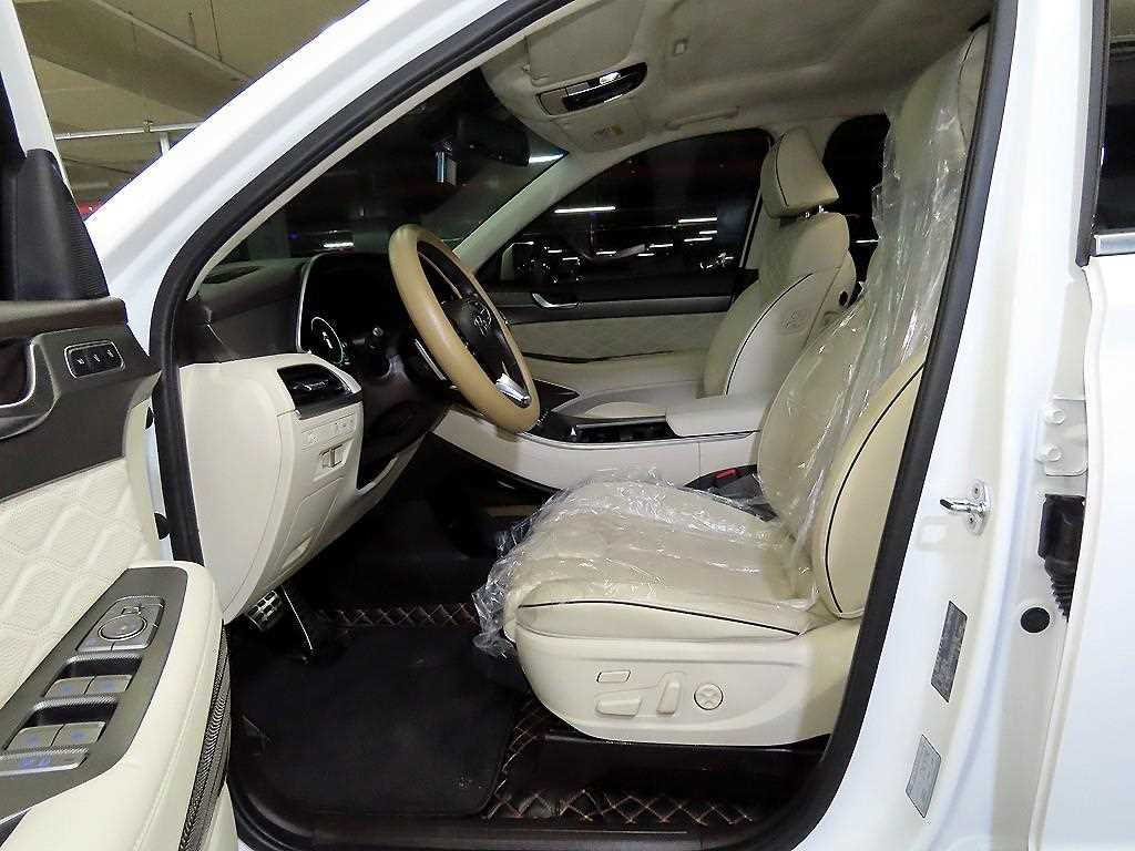 HYUNDAI Palisade - Vista 6