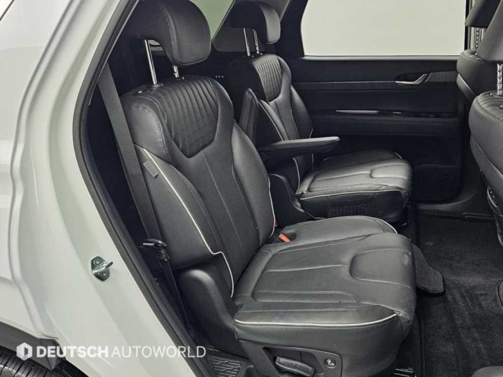 HYUNDAI Palisade - Vista 12