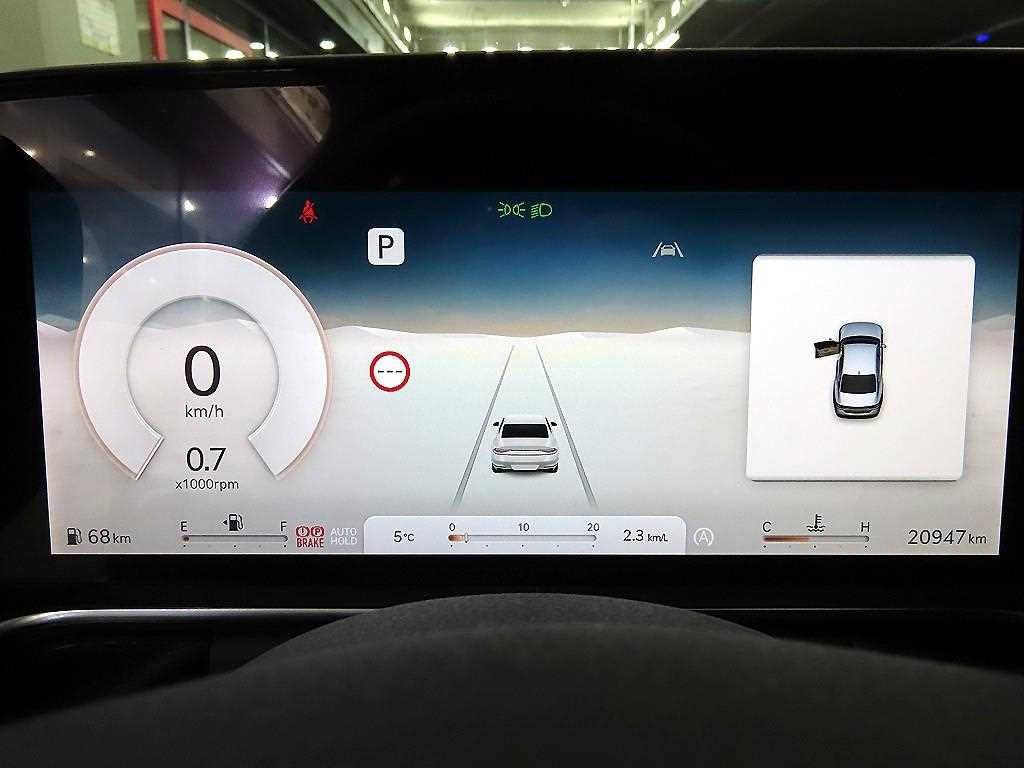 Genesis G90 - Vista 9