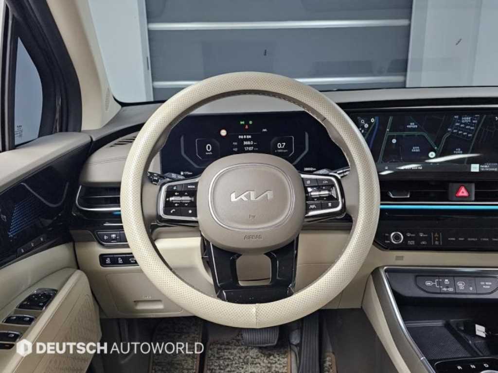 KIA Carnival - Vista 12