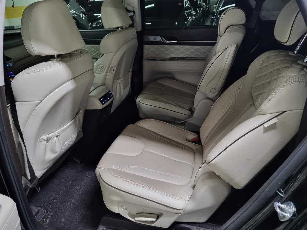 HYUNDAI Palisade - Vista 12